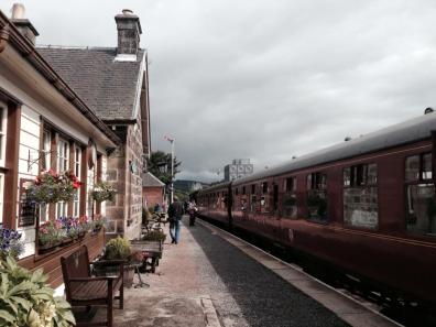 11059693_10153465143393523_7541746915016726226_n