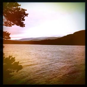 13770378_10154307720513523_1301749082528429303_n