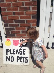 27695658686_4c3f734a59_o