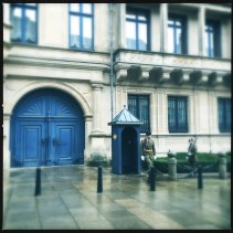 49465301183_1ca2ff50c3_o