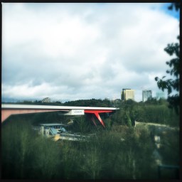 49465793751_e3678ea026_o